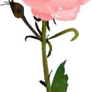 Meet your Posher, Huma farooq